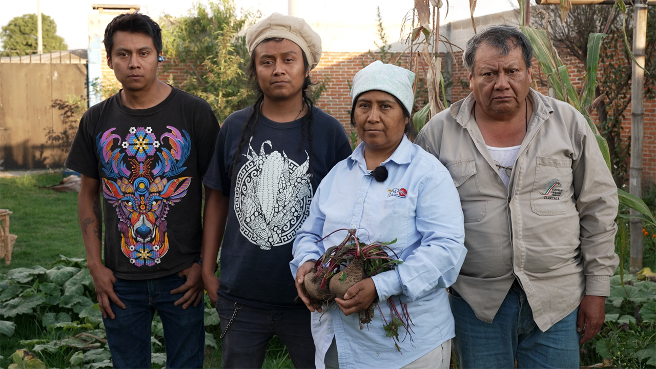 La aportación de la agroecología en la salud de la población mexicana.